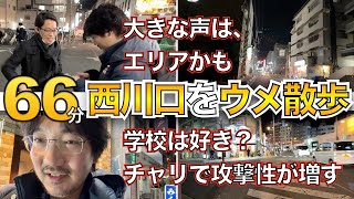 西川口でウメ散歩(トーク部分のみ全て抜粋)　・だんごさんは暴力が怖い・先生から川口の方は行っちゃダメ・英語の先生のGの言い方・チャリで攻撃性が増す【ラジオ・作業用・睡眠用】