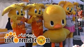 ●パルちゃんINFORMATION「7.31 FC岐阜戦＠アイスタ日本平」イベントレポート