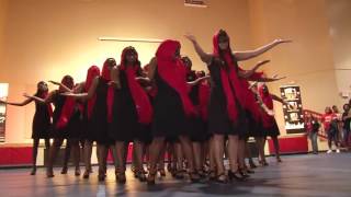 Neophyte Presentation: IX Chapter of Delta Sigma Theta Sorority, Inc. (Spring 16)