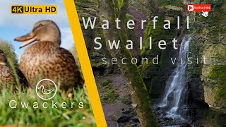 Waterfall Swallet - A Second Visit to this hidden gem.