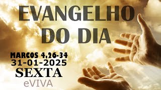 EVANGELHO DO DIA 31/01/2025  Mc 4,26-34 HOMILIA DIÁRIA DE HOJE LITURGIA DIÁRIA eVIVA