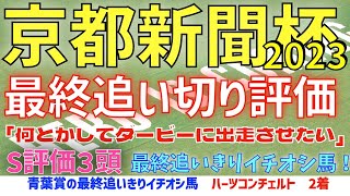 【京都新聞杯2023】最終追いきり　S評価3頭　「何とかしてダービーに出走させたい」最終追いきりイチオシ馬は？【最終追いきり評価】【競馬予想】