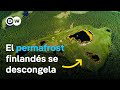 Melting wetlands - How can nature slow climate change? | DW Documentary