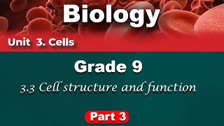 Grade 9 Biology unit 3 part 3 | Cell structure and function | የ9ኛ ክፍል ባዮሎጂ ምዕራፍ 3 ክፍል 3