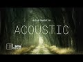 In The Forest 3H  : Study Sleep Relax Acoustic Background Music