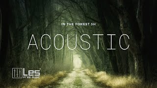 [ Study Sleep Relax🌳 ] In The Forest 3H  - Acoustic Background Music (Royalty Free) Lesfm