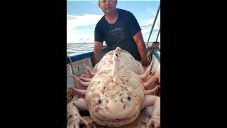 Giant Axolotls?! #axolotl #cryptozoology #cryptids #sea #ocean