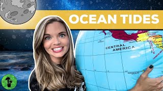 Ocean Tides Explained | Spring \u0026 Neap Tides