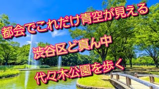 【都会の喧騒から離れてのんびり散歩はいかが？】渋谷区代々木公園を歩く2022.5