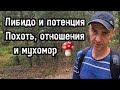 Влияние мухомора на половую сферу.