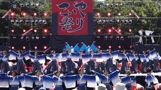 03 龍谷大学 華舞龍  こいや祭り2017 大阪城公園 太陽の広場 寄り