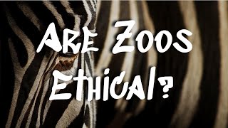 Are Zoos ETHICAL?? || Discovery Wildlife Park Zoo || Alberta Canada