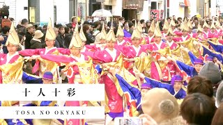 【4K】十人十彩「散る桜、残る桜も散る桜。」｜土佐のおきゃく よさこい春の舞2019 帯屋町会場