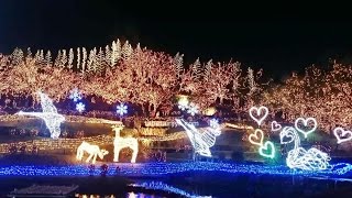 備北丘陵公園 イルミネーション 2015