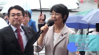 紙智子参院議員のスピーチ