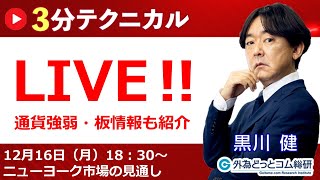 見通しズバリ！3分テクニカル分析「ライブ‼」 NY市場の見通し　2024年12月16日