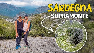 Tante sorprese (belle e brutte) nel SUPRAMONTE | Giro della Sardegna in van VW T4