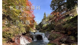 【トレッキング】奥蓼科 乙女滝 おしどり隠しの滝【紅葉】