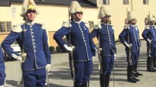 Livbataljon (Högvakten) - Swedish Royal Guards