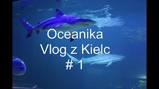 Vlog 11.06.2018 Oceanika w Kielcach część 1