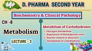 Glycogen metabolism | Blood glucose regulation | CH-8 | L-3 | Biochemistry | D.Pharm second year