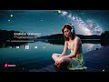 Echoes of a Fading World: Deep House & Chillstep – Hypnotic Vibes & Melancholic Dreams