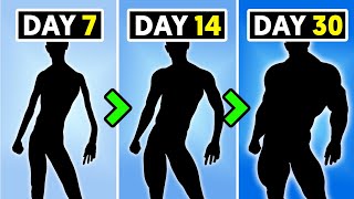 What Happens to Your Body After Bulking For 7, 14, and 30 Days