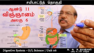 சமிபாட்டுத் தொகுதி | ஆண்டு 11 | விஞ்ஞானம் | அலகு 6 | Digestive System - OL Science | க. க. உதயகுமார்