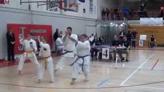 Family Team Kata - Heian Shodan