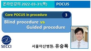 술기, 초음파로 안해봤어? 유승목 (2022SECCI연수강좌)