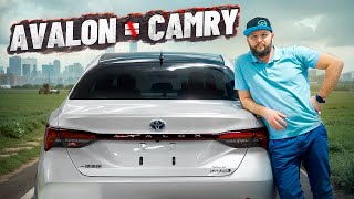 TOYOTA AVALON или CAMRY ЧТО ЛУЧШЕ КУПИТЬ?