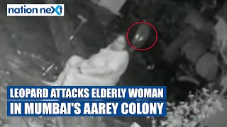 Leopard attacks elderly woman in Mumbai's Aarey colony, runs away after she fights back