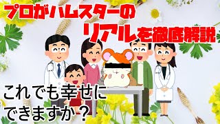 これが出来ないとハムスターは飼えない！飼うのに必要な事【プロが解説】