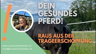 Raus aus der Trageerschöpfung | mit diesen Tipps schaffst Du das!