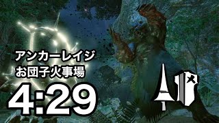 【MHRise】ヌシ・アオアシラ重大事変　アンカーレイジ型ランス(お団子火事場🍡)　4:29【Steam版】