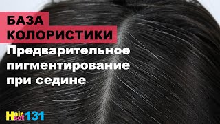 Препигментация при седине. Базовая колористика. HairSet #131