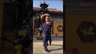 SHAOLIN KUNGFU FIST || KICK PUNCHING MARTIAL ARTS #shaolin #kungfu #martialarts