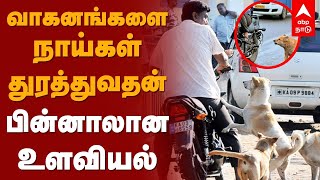 Dogs Psychology | வாகனங்களை நாய்கள் துரத்துவதன் பின்னாலான உளவியல் | Animals