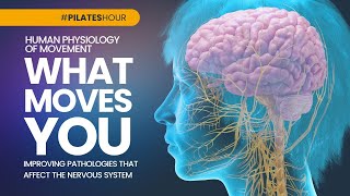 Pilates Hour #140 - What Moves You, Nervous System (Human of Physiology Series) with Brent Anderson