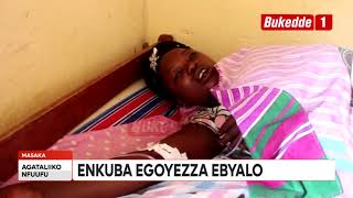 Agataliikonfuufu: Enkuba egoyezza ebyalo. Awamu esse ebisolo.