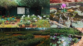 Buy any plants@7Rs|100ரூபாய் இருந்தால் போதும் கார்டன் ஆரம்பிக்கலாம்Best Nursery Garden Tour.