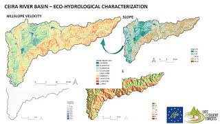 A new way for Forest management: the Decision Support System “C.A.F.E.”