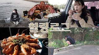 은조미 하루일과 | 힐링로그