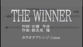 「THE WINNER(松原みき)」カラオケアレンジ【ガイド音なし】