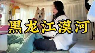 【正版小七的旅行第131集】一人一狗一狐狸環遊祖國邊境線，抵達黑龍江漠河，小七已經幾天沒睡覺啦，我該怎麼辦？