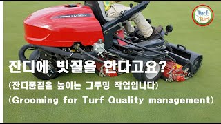 잔디에 빗질을 한다고요?(잔디품질을 높이는 그루밍 작업입니다)(Grooming for Turf Quality management