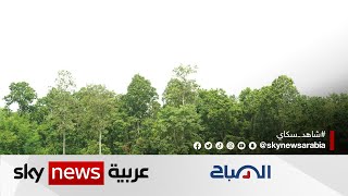 جماعة بيئية في ليبيا تبدأ حملة لزراعة 100 شجرة في محمية الشعافين الطبيعية | #الصباح