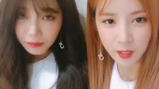 170716 Apink Chorong fancafe update-팬더들~~