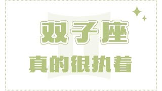 「陶白白」雙子座真的很執著