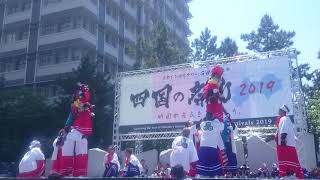 高部獅子舞保存会 継ぎ獅子②　四国の祭り2019 2日目メインステージ